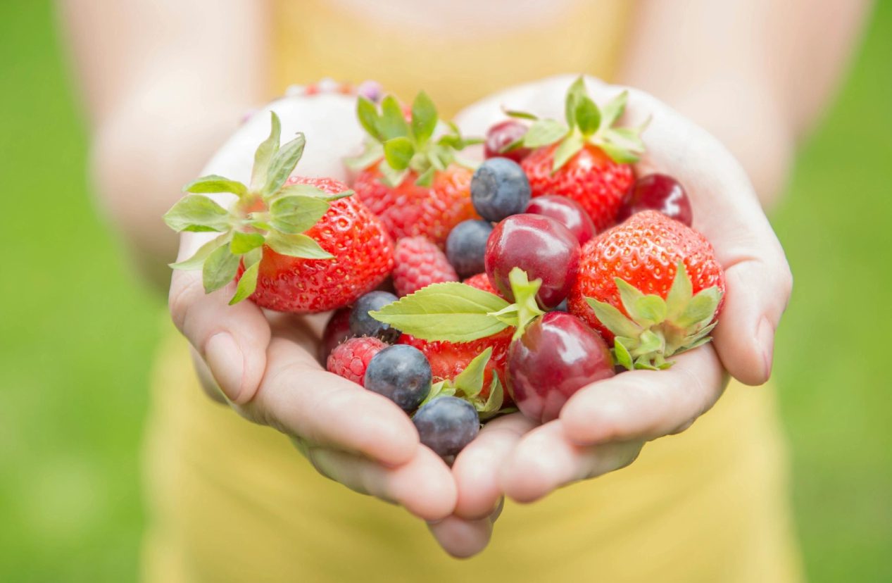 First Light Nutrition